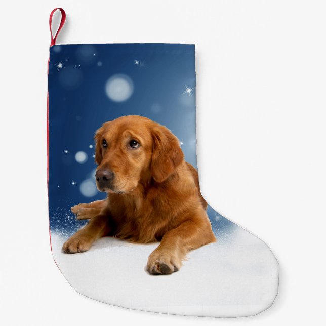 Cute Golden Retriever Dog Sitting in Snow Stars Small Christmas Stocking (Front)