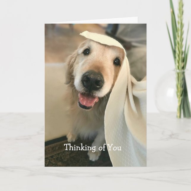 Cute Golden Retriever Dog Thinking of You Card (Front)