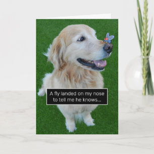 Cute Golden Retriever Fly With A Birthday Message Card