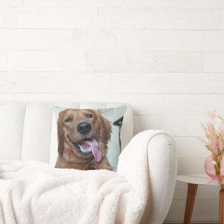 Cute Golden Retriever | Original Dog Photography Cushion