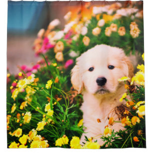 Cute Golden Retriever Puppy And Yellow Flowers Shower Curtain