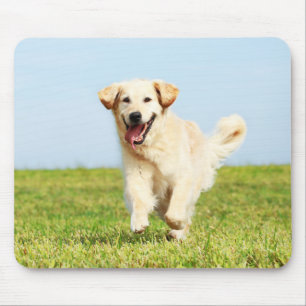 Cute Golden Retriever Puppy Running on Grass Mouse Pad