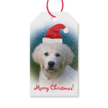 Cute Golden Retriever Puppy Wearing Santa Hat
