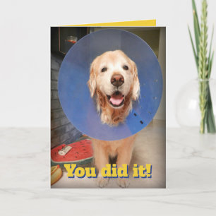 Cute Golden Retriever With Cone- Cone-gratulations Card