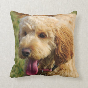 Cute Goldendoodle Dog Cushion