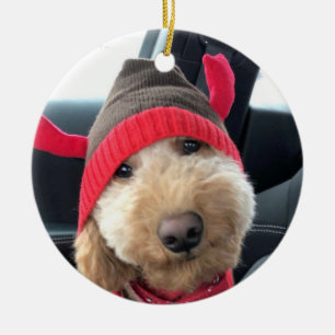 Cute Goldendoodle in His Christmas Outfit Ceramic Ornament