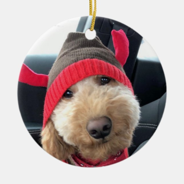 Cute Goldendoodle in His Christmas Outfit Ceramic Ornament (Front)