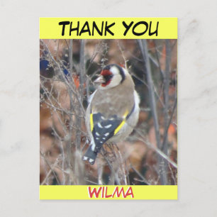 Cute Goldfinch Cust. Text THANK YOU Postcard