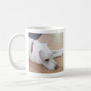 Cute Good doggy Wearing Red Collar Coffee Mug