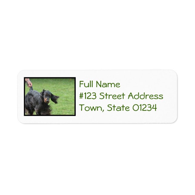 Cute Gordon Setter Return Address Label (Front)