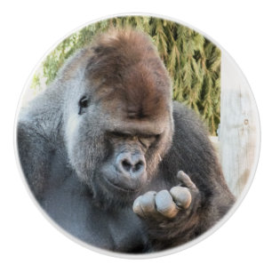 CUTE GORILLA CERAMIC KNOB
