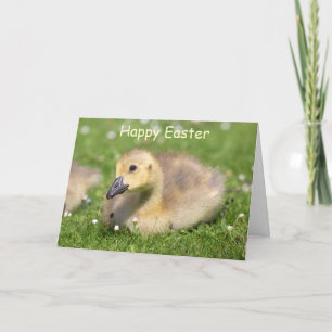 Cute Gosling Happy Easter Greeting Card
