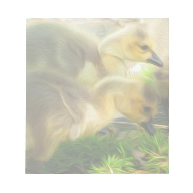 Cute Gosling Notepad (Front)