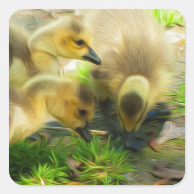 Cute Gosling Square Sticker (Front)