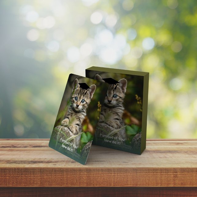 Cute Graduating Kitten Playing Cards (Creator Uploaded)