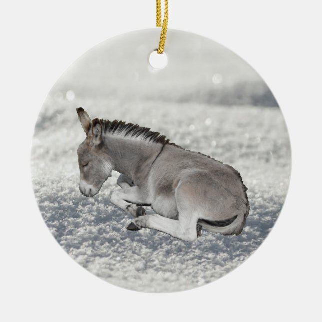 Cute Gray Baby Donkey Foal in Snow Ceramic Ornament (Front)