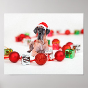 Cute Great Dane Dog Christmas Santa Hat Poster