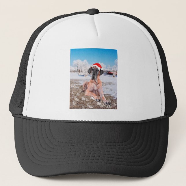 Cute Great Dane Dog Sitting In Snow Christmas Hat (Front)