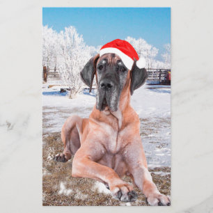 Cute Great Dane Dog Sitting In Snow Christmas Hat Stationery