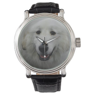 Cute Great White Pyrenees Watch