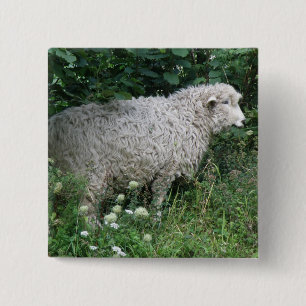Cute Greedy Sheep Eating Button