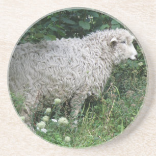 Cute Greedy Sheep Eating Coasters