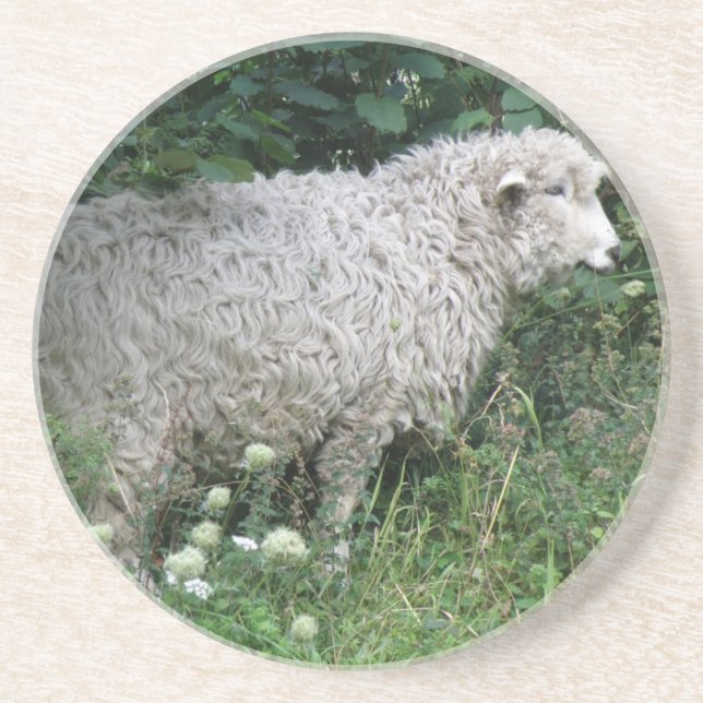 Cute Greedy Sheep Eating Coasters (Front)