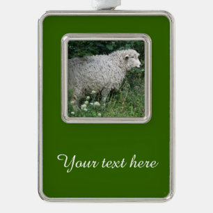 Cute Greedy Sheep Eating Custom Ornament