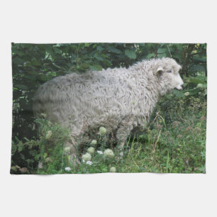 Cute Greedy Sheep Eating Kitchen Towel