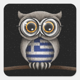 Cute Greek Flag Owl Wearing Glasses Square Sticker
