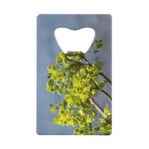 Cute green branch in the wind