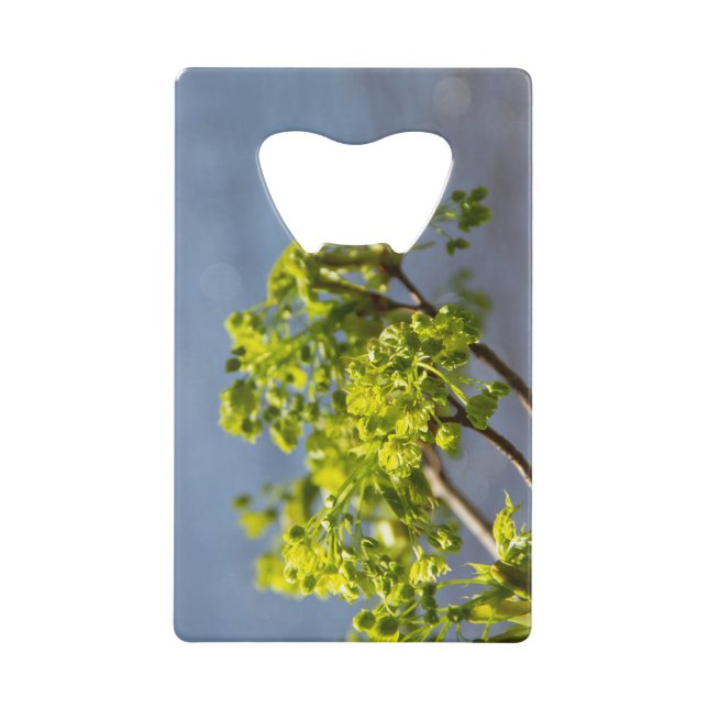 Cute green branch in the wind (Front)