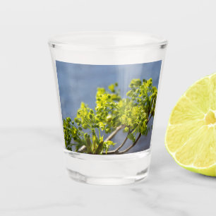 Cute green branch in the wind shot glass