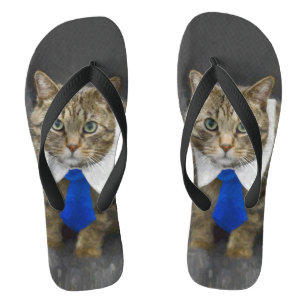 Cute green-eyed brown tabby cat wearing a blue tie thongs