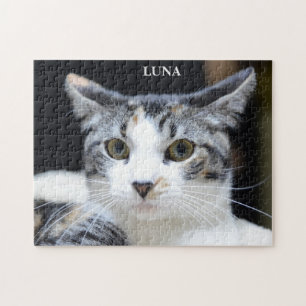 Cute Green Eyed Calico Cat Portrait  Jigsaw Puzzle