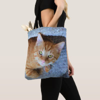 Cute Green Eyes Orange Tabby Cat