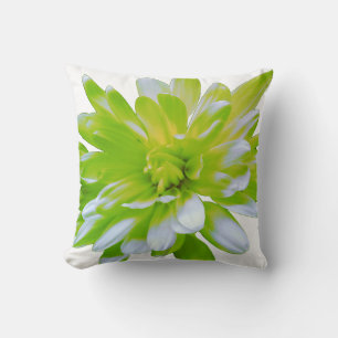 Cute green floral green flower green daisy cushion