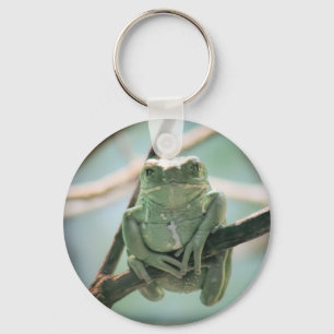 Cute Green Frog Sitting on a Branch Key Ring