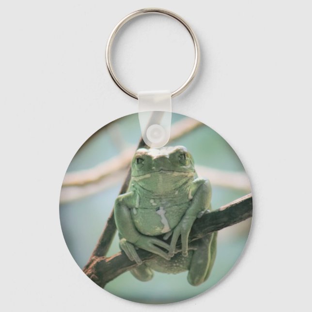 Cute Green Frog Sitting on a Branch Key Ring (Front)