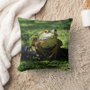 Cute Green Frog Strikes a Pose on the Hose Cushion