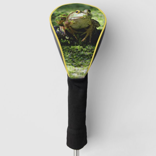 Cute Green Frog Strikes a Pose on the Hose Golf Head Cover (Front)