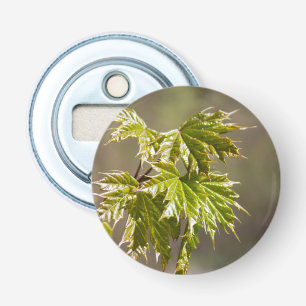 Cute green maple branch with small leaves bottle opener
