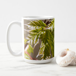 Cute green maple branch with small leaves coffee mug