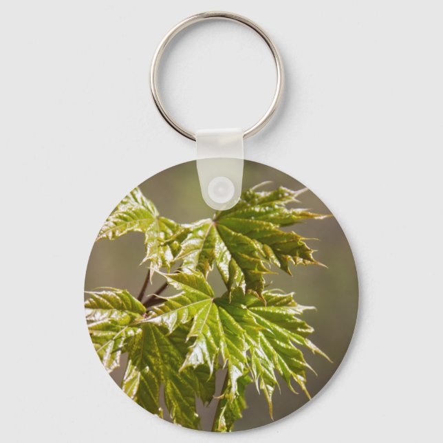 Cute green maple branch with small leaves keychain (Front)