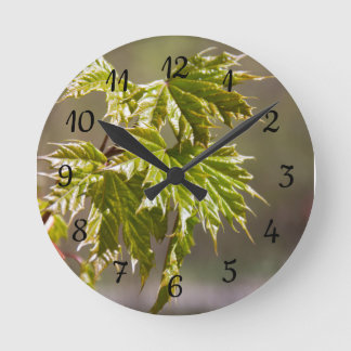 Cute green maple branch with small leaves round clock