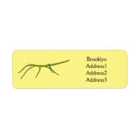 Cute green stick insects with happy faces cartoon