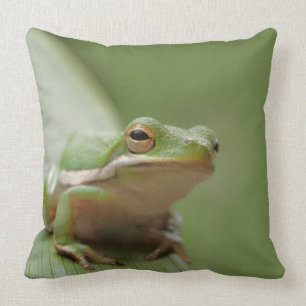 Cute Green Tree Frog Decorative Wildlife Cushion