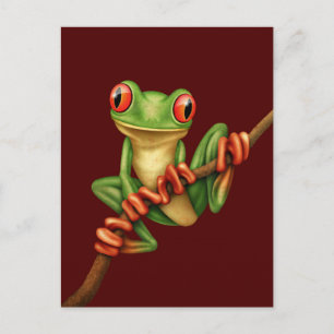 Cute Green Tree Frog on a Branch on Red Postcard