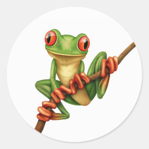 Cute Green Tree Frog on a Branch on White Classic Round Sticker