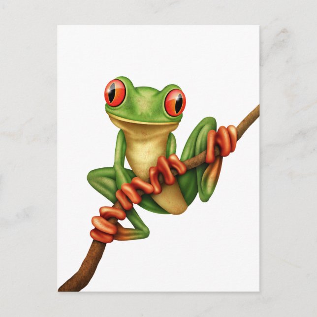Cute Green Tree Frog on a Branch on White Postcard (Front)